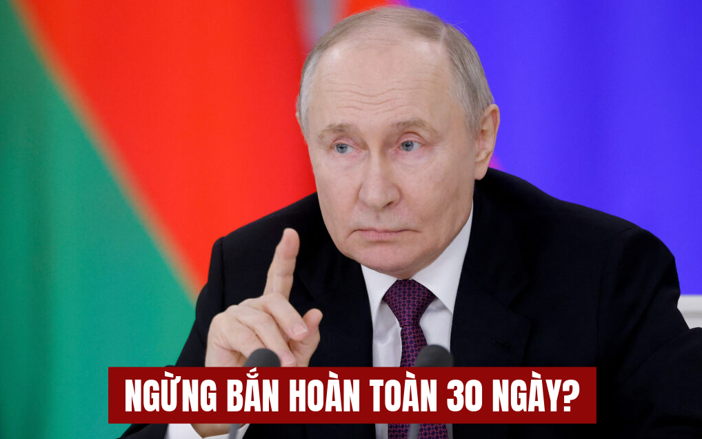 6c8d68e6be6f748a8ed6.png