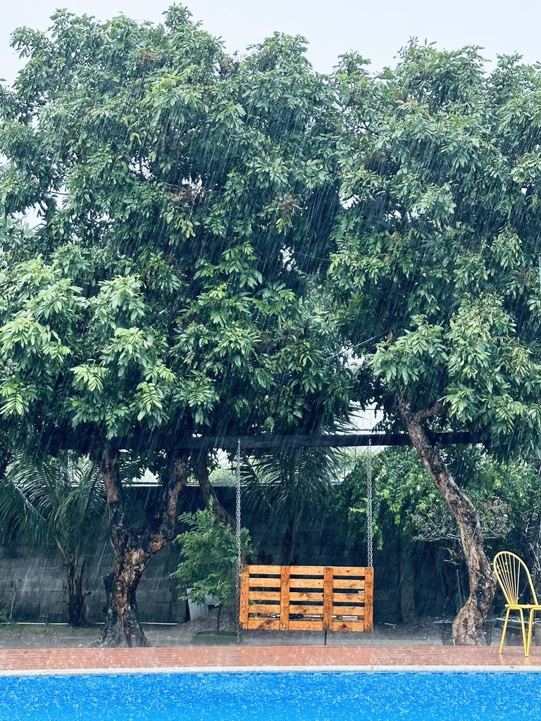 6ca295f84b8c463388d6.jpg