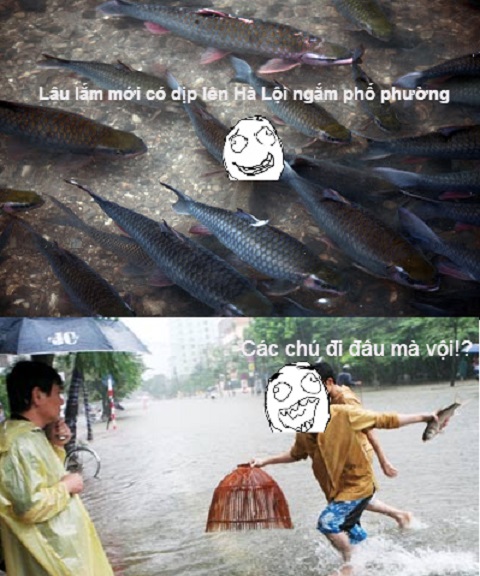 6cb96d8a70380b1fc9a5.jpg