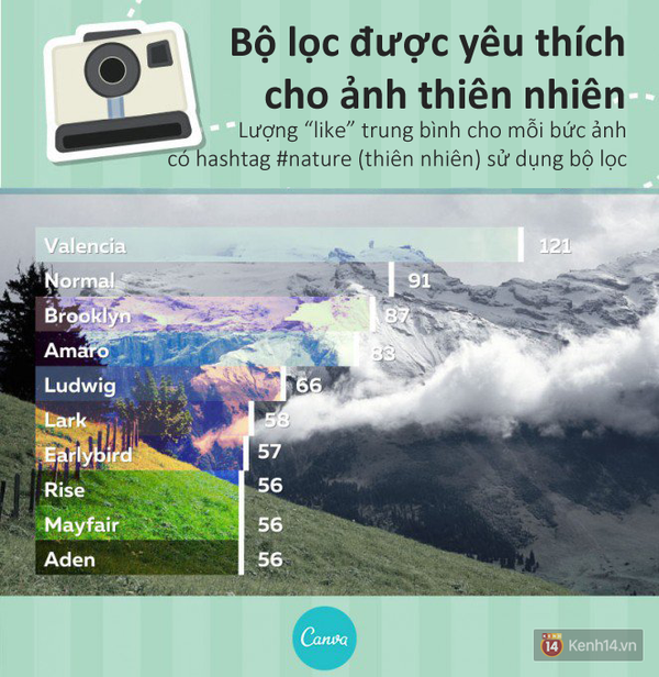 6d1f79ae826cfa828950.png
