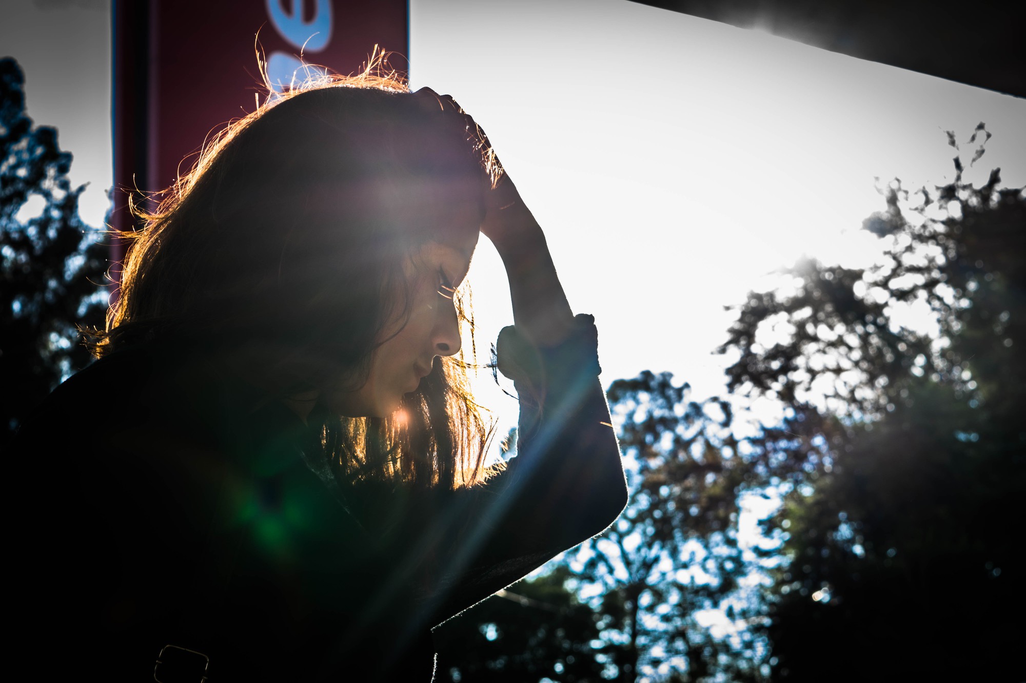 6d258008923011da479a.jpg