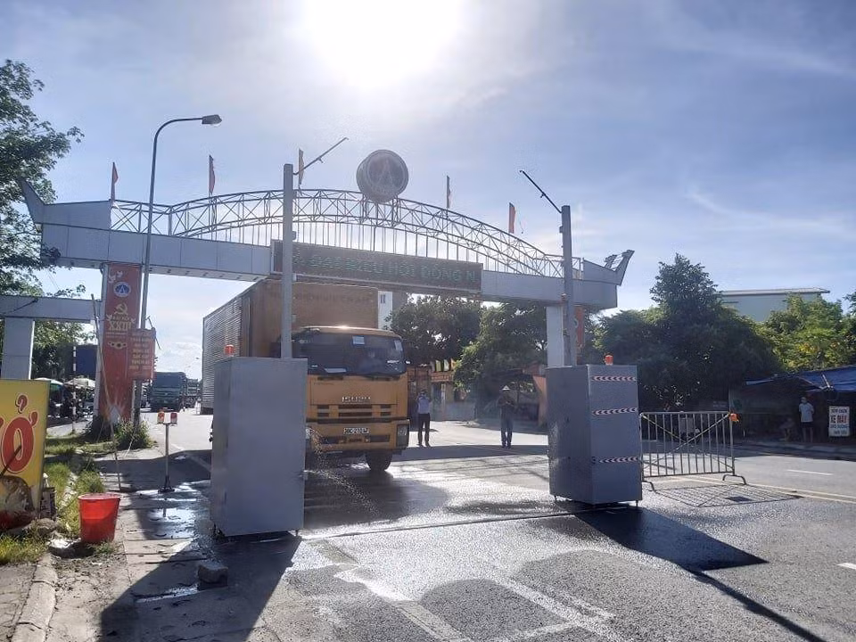 6d26091efb454a4dca78.jpg