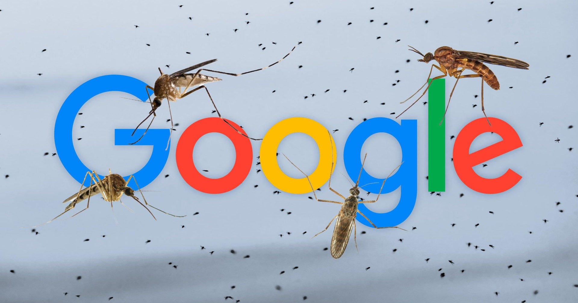 6d26949bee6d660a3bf7.jpg