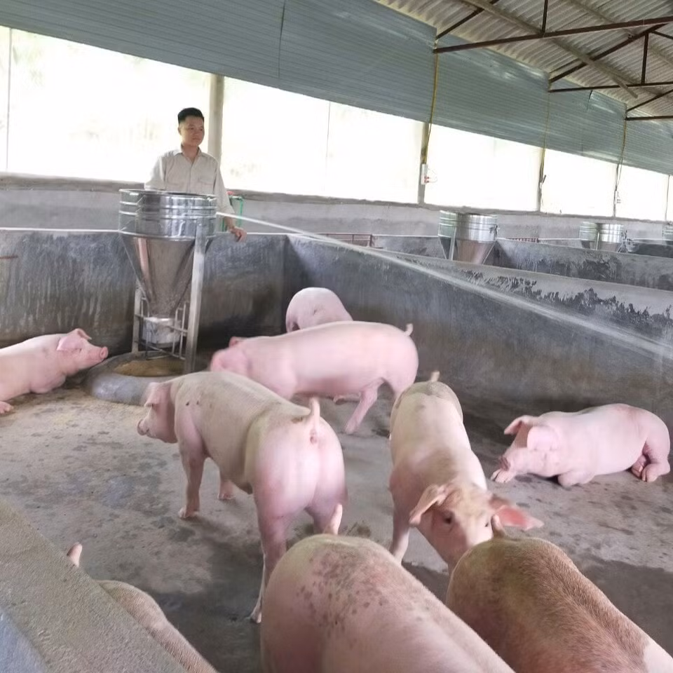 6d37c8557bacc35df4ed.jpg