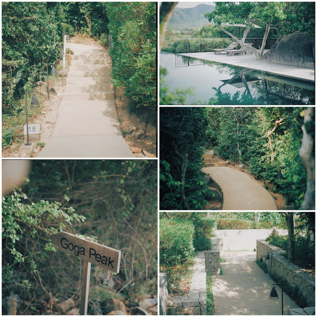 6d44a8f1770f5cb1732d.jpg