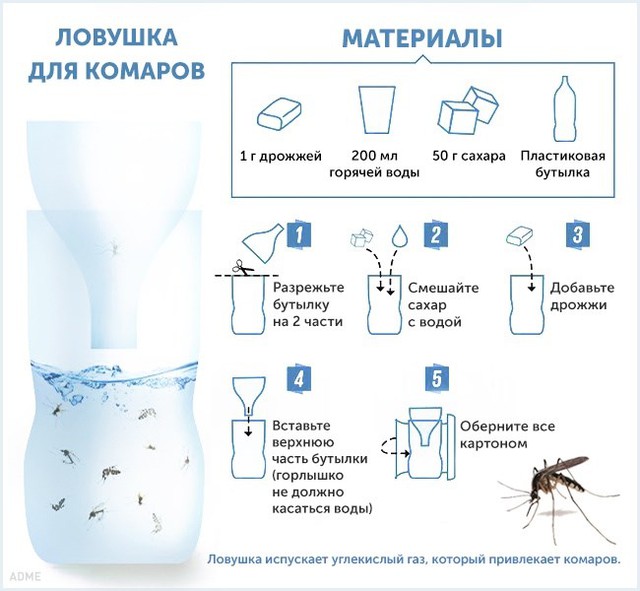 6d6e2b8460736ee56f5a.jpg