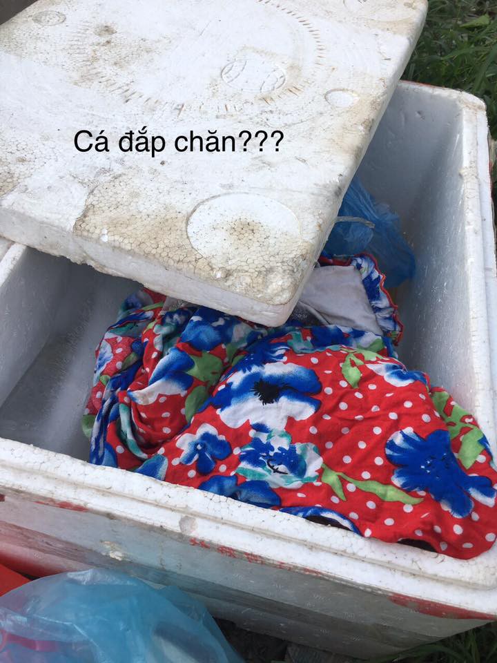 6d719af6b7630498f644.jpg