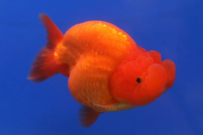 6dabb899ae63c55c19cd.jpg