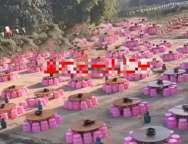 6dd73f4d7c94104c2e24.jpg