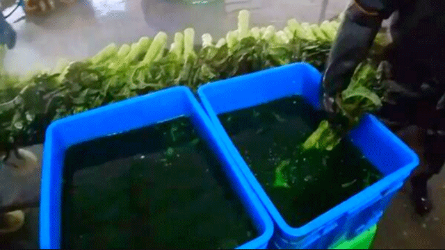6deae39223b6b7f2c204.png