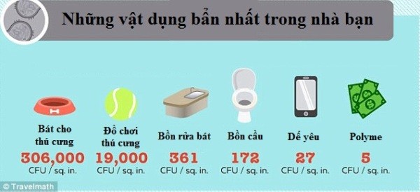 6e0a73edc05ffae371fe.jpg