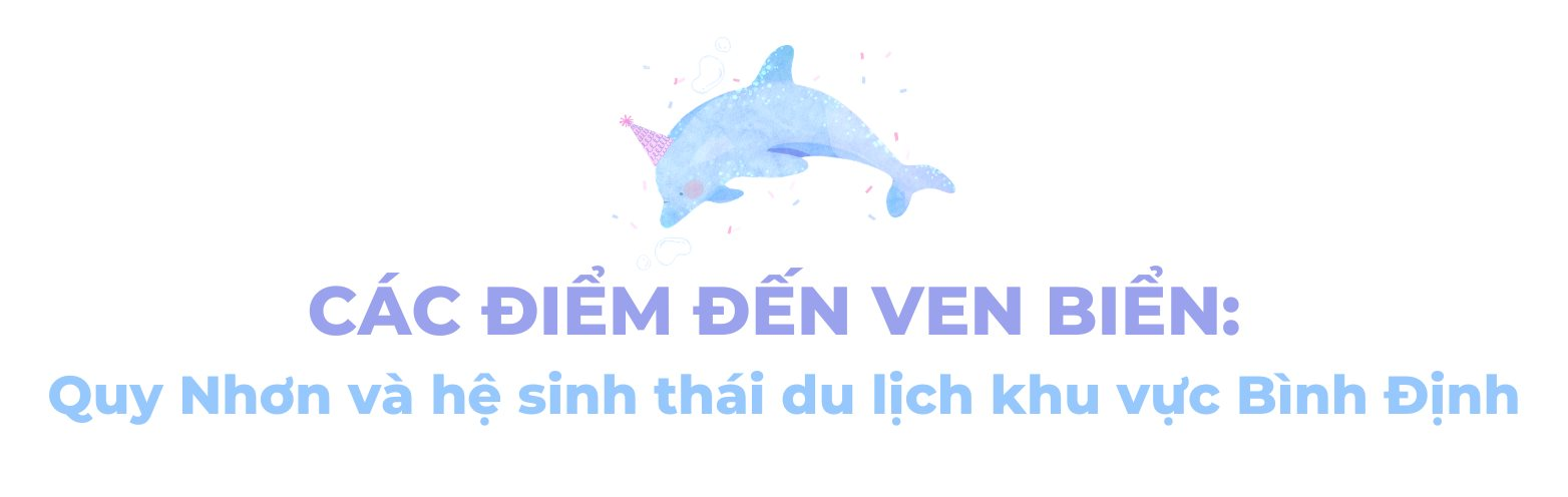 6e17f8860e76f55843a4.png