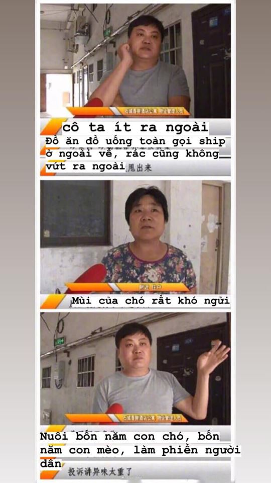 6e47416e010364bd9f57.jpg