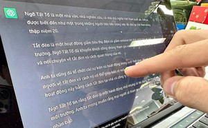6e4b8fa9421209af8ef6.jpg