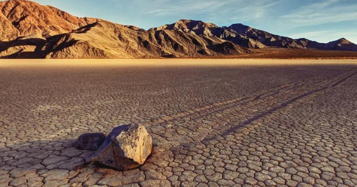 6e823f27bcad44f8c293.jpg