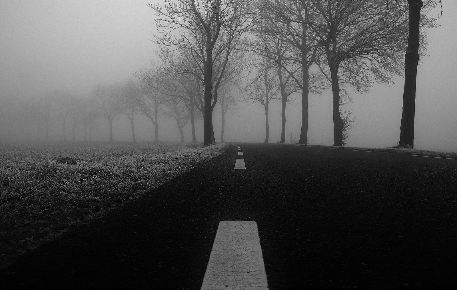 6e8329f459910830f0a4.jpg