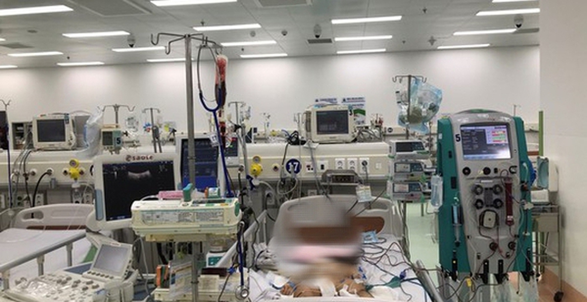 6ec323ccf3646a49bd02.jpg