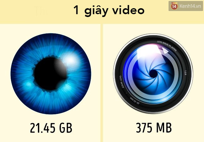6ee8892b469c55334115.png