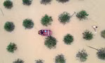 6f34ccd1bef75be26c40.jpg