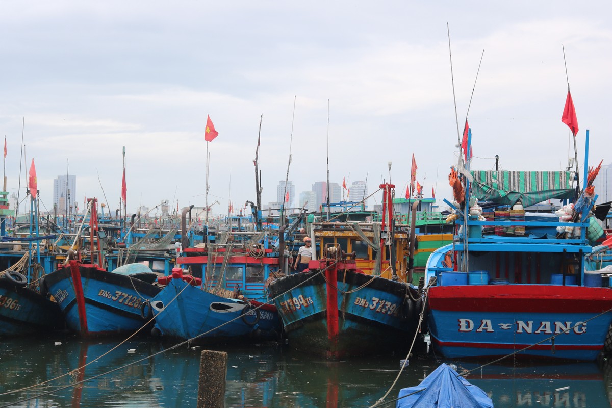 6f52c625ffc345ddd44a.jpg