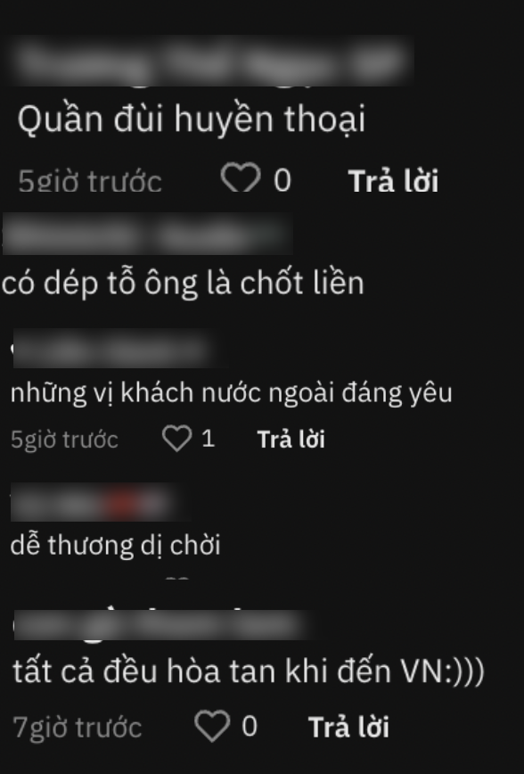 6f9cc8ed955382b95e89.png