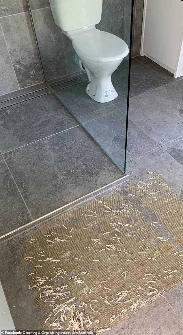 6fa409d96085daf84d3b.jpg