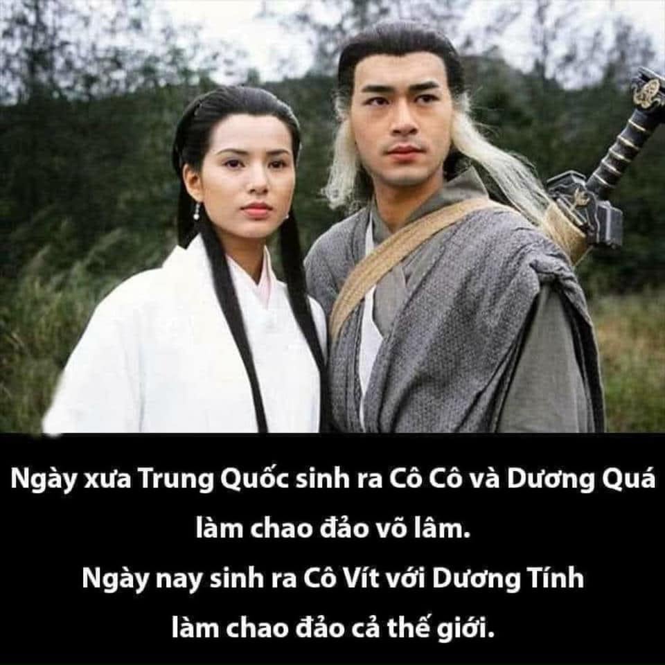 6fb1e258fd8e78b3219b.jpg