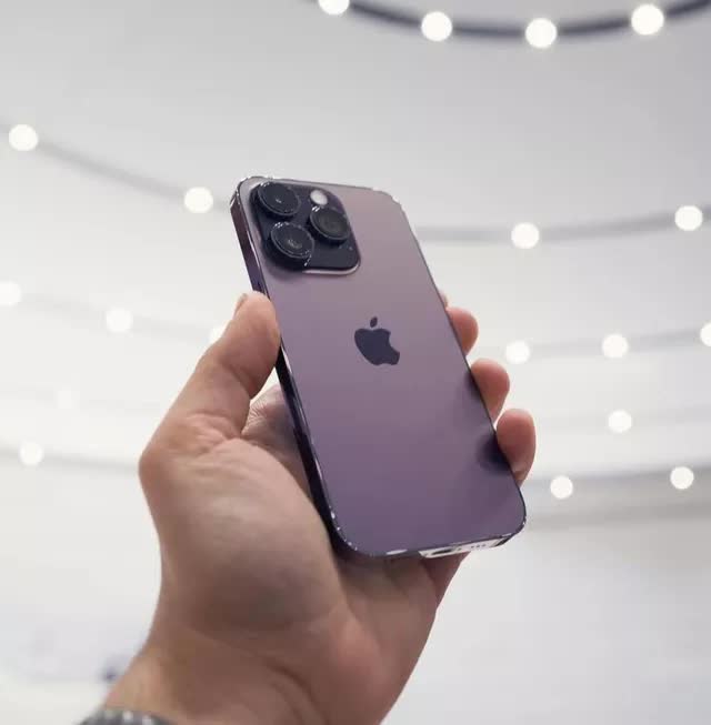 6fcd87339a6b0aa4e453.jpg