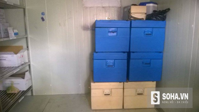 6fd506eaab426dde6bac.jpg