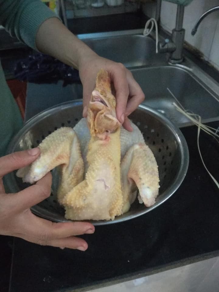 6fe68d01788d0c013a15.jpg