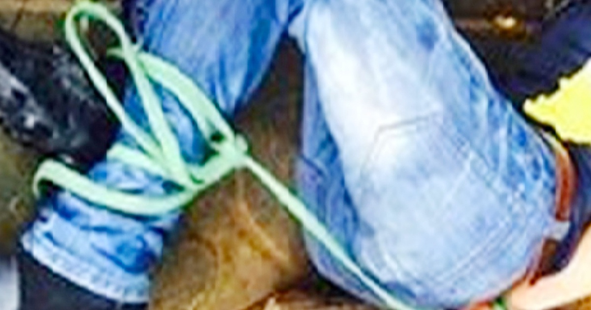 6ff48e6f86517a09910b.jpg
