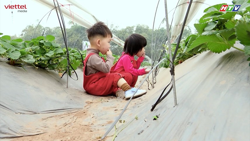 7020aaf482fb3051aa89.jpg