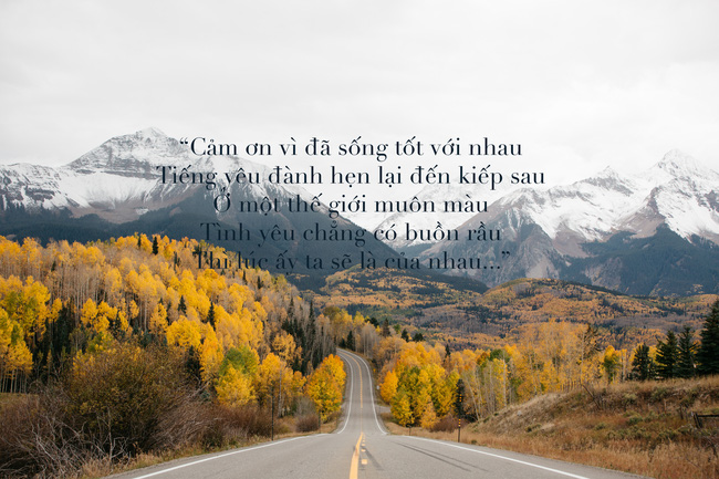 7068aee561b1e8f33e33.jpg