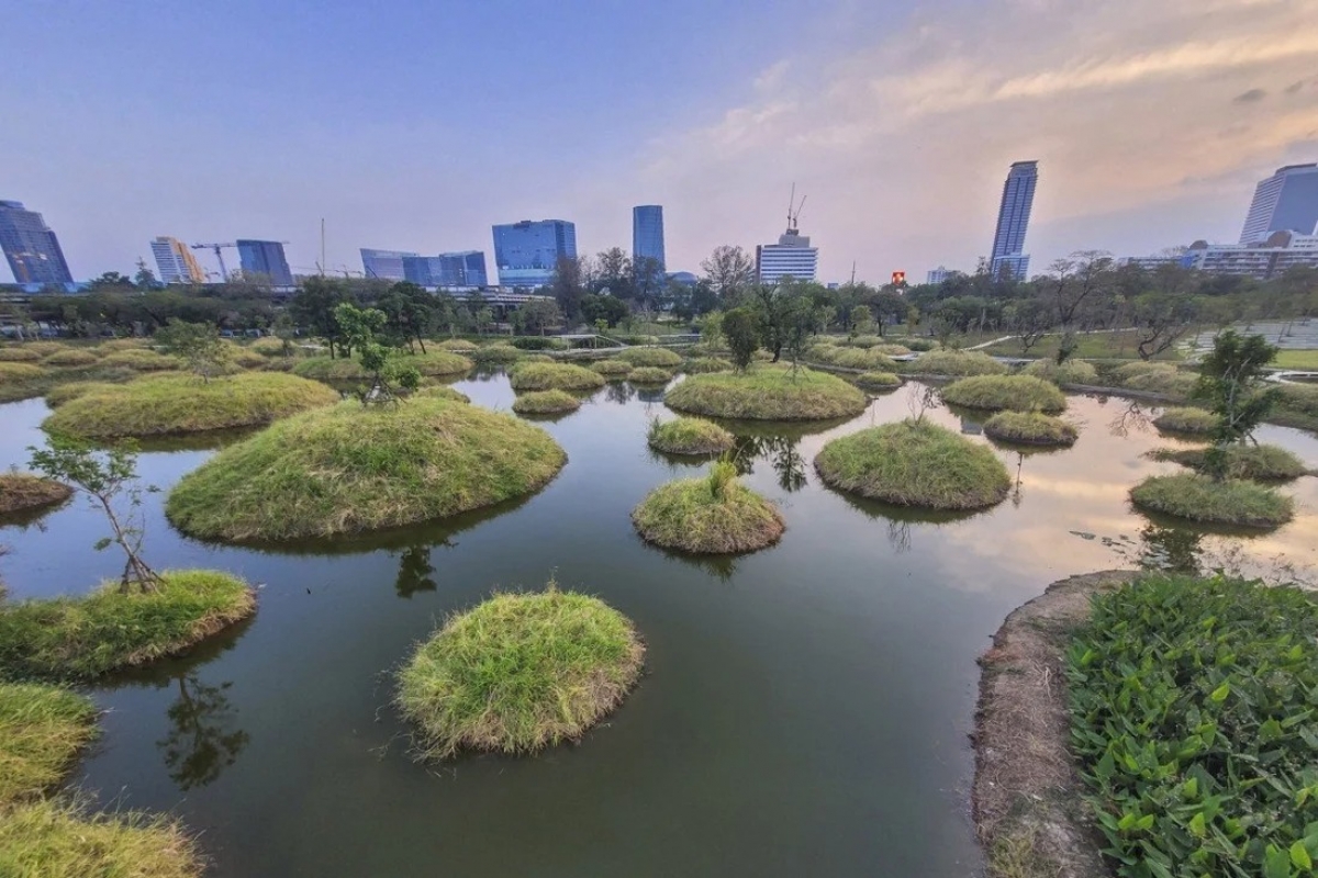 70837a623d692df1763c.jpg