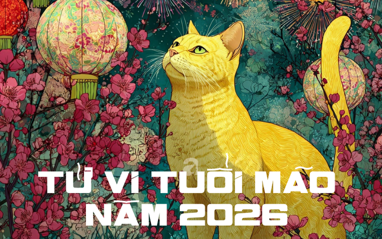 7095e2087a7cbde67a66.png
