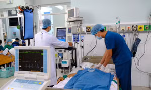 70cf6f8266e1431410f9.jpg