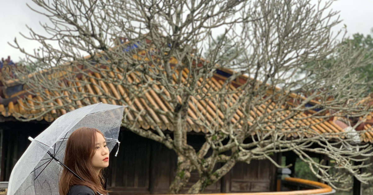 Sinh viên quê Quảng Ninh tâm sự khi COVID-19 ập đến trước Tết: "Năm nay chắc ăn Tết xa nhà rồi"