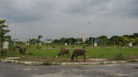 70dadb194e58791df2a4.jpg