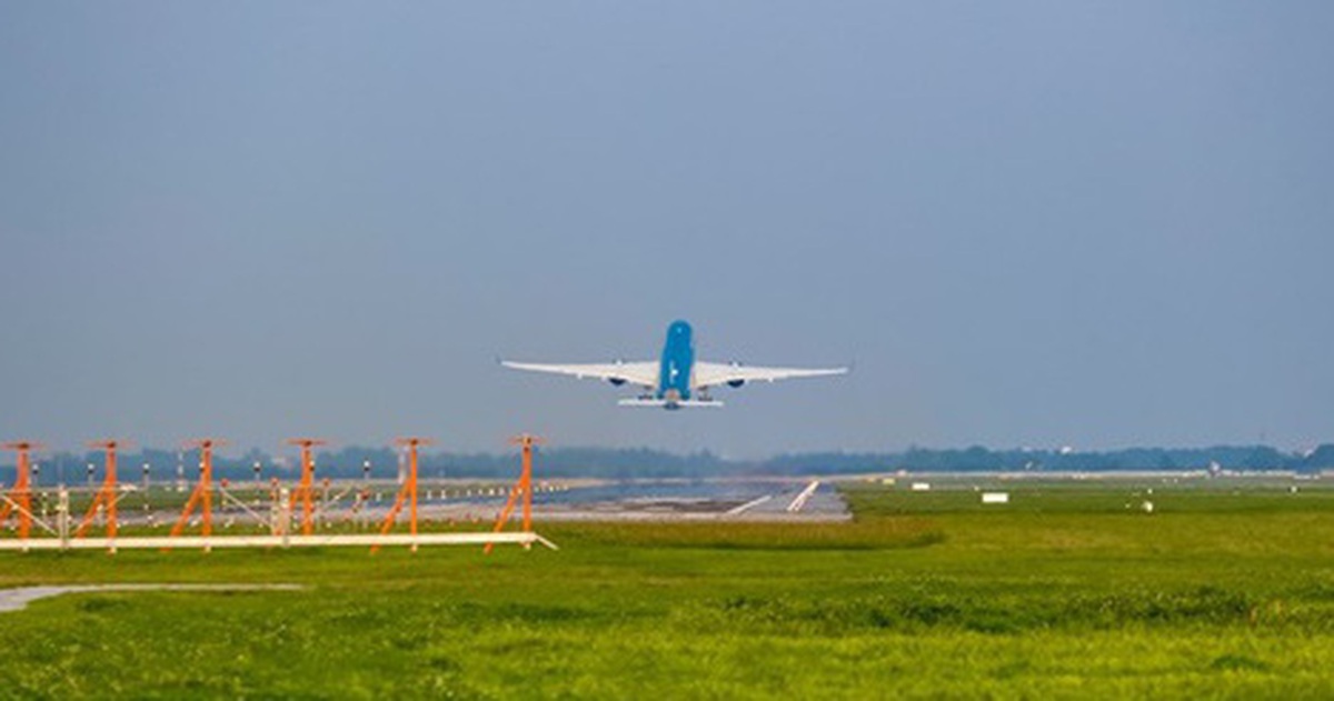 70dba102a348cca26424.jpg
