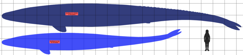 70eddc0bdcbfbaf8e2f6.png