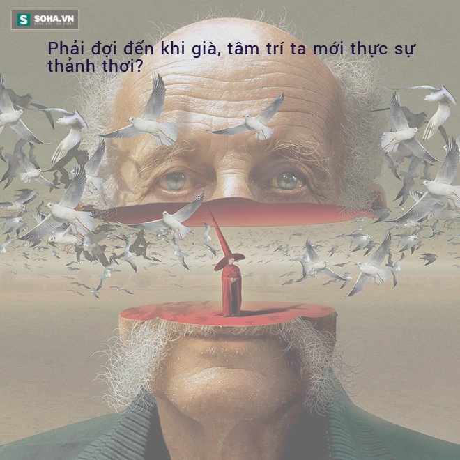 7149243659f15f3005d7.png
