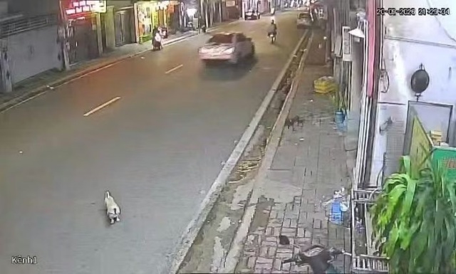 717d82f1aa521aaeb649.jpg