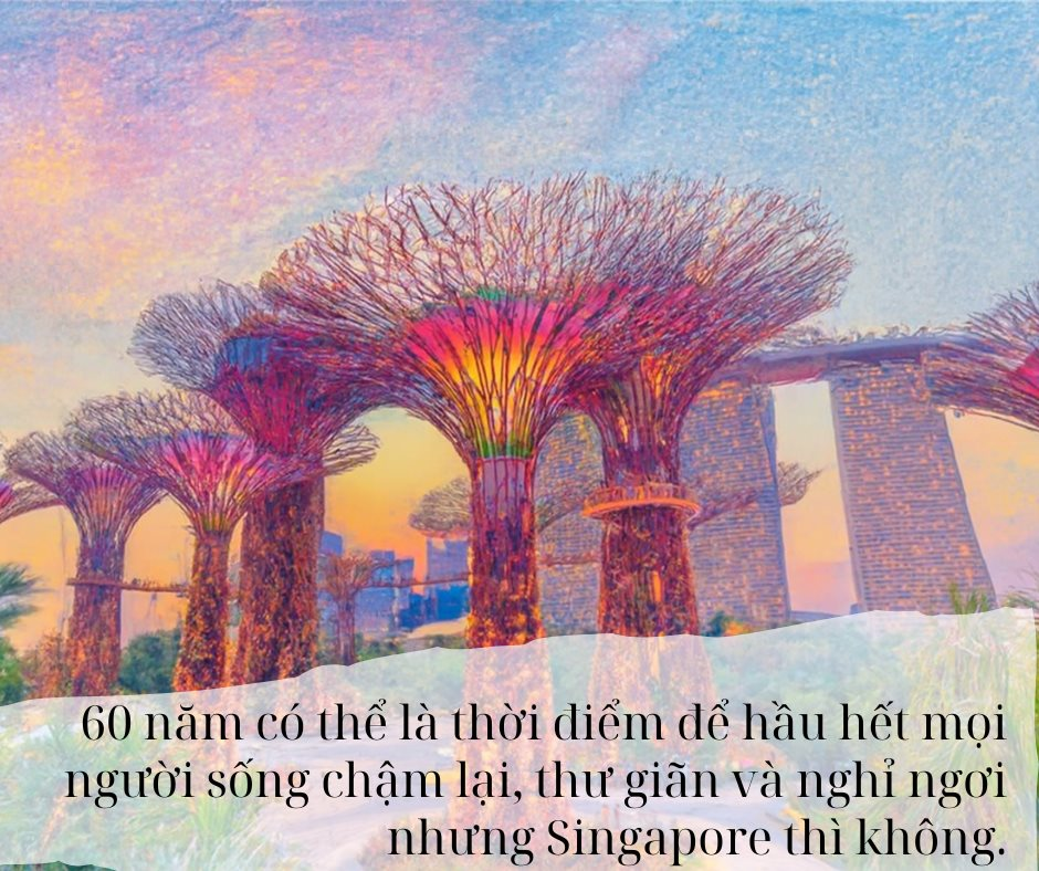 72001704ece3e5243795.png
