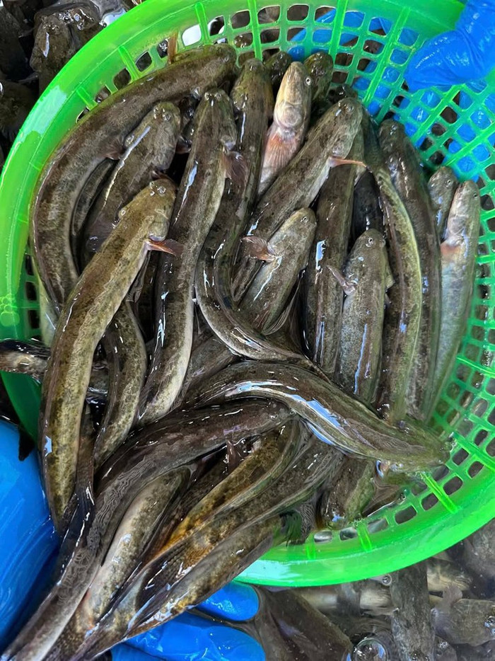 722d07d701ed13abac16.jpg