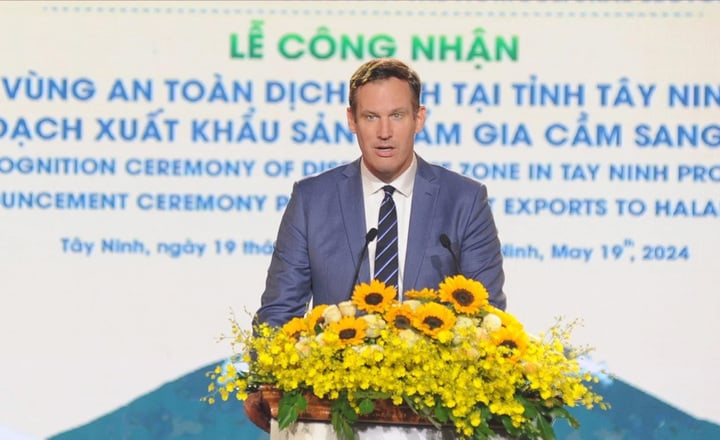 724085df14184dede998.jpg