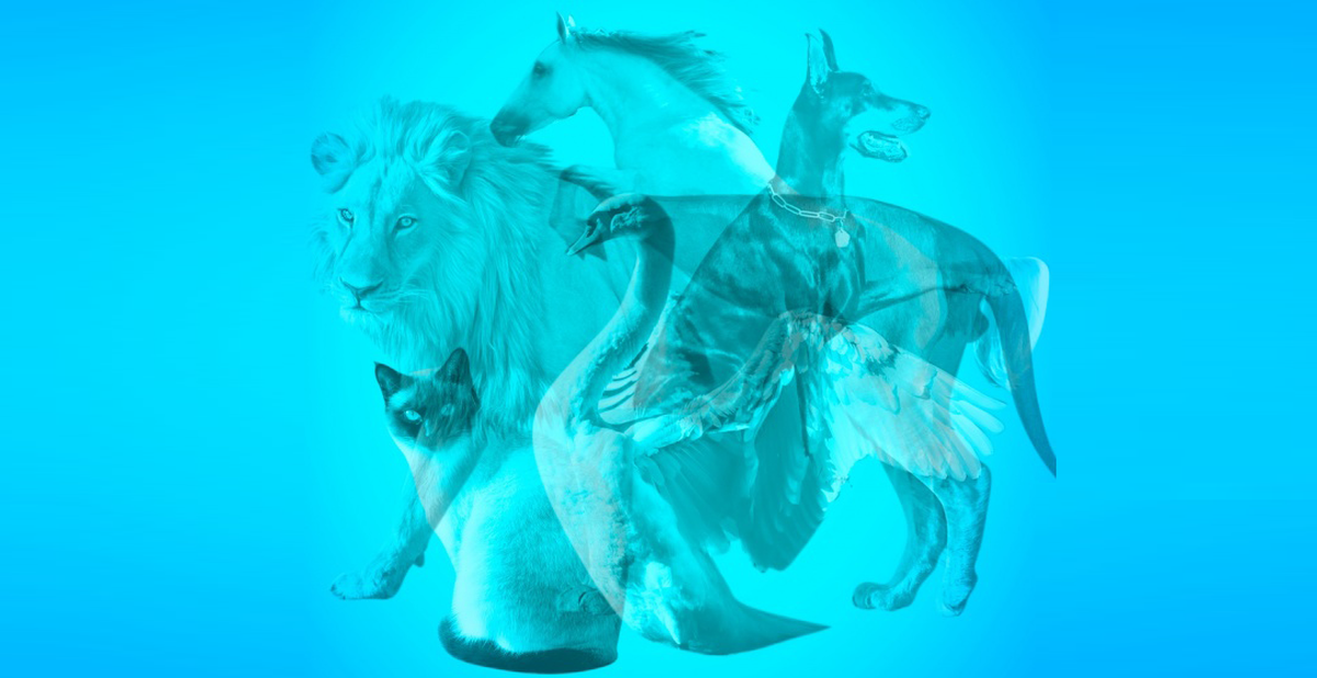 725eae3990ddb970c475.png