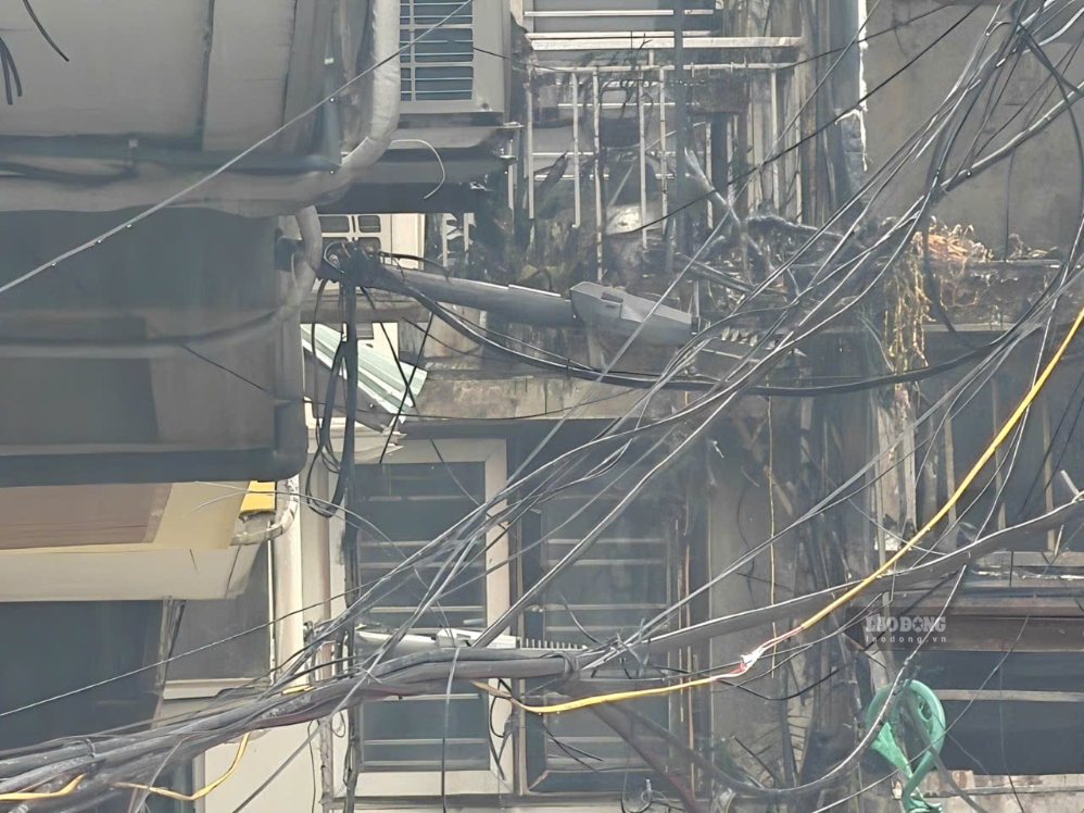 7266902e7cecd7b6d7fa.jpg