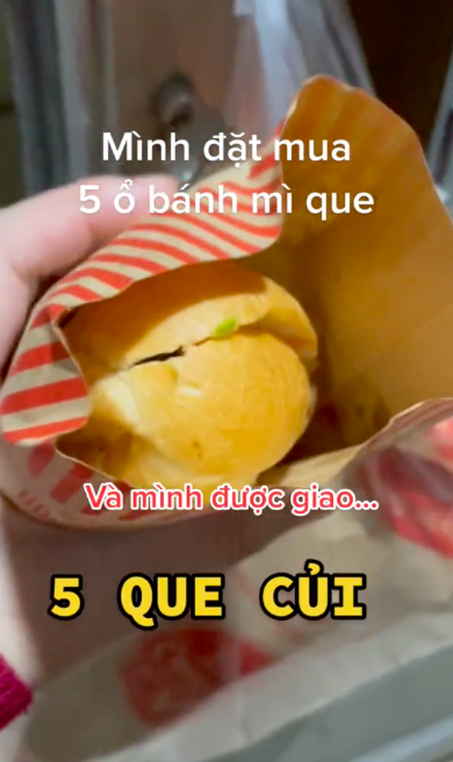 7269cc68b2a70d3f8844.png