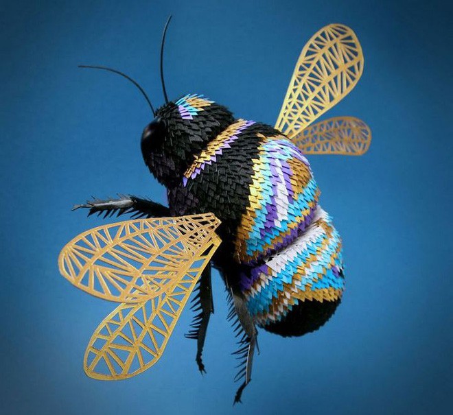 72dd1c89af71766a3229.jpg