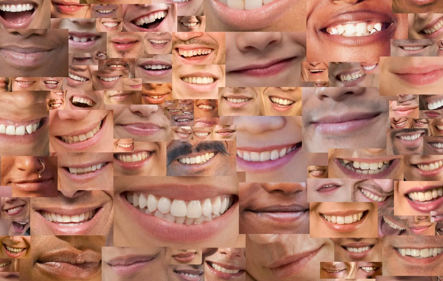 72dd413a81a785b4ead5.png
